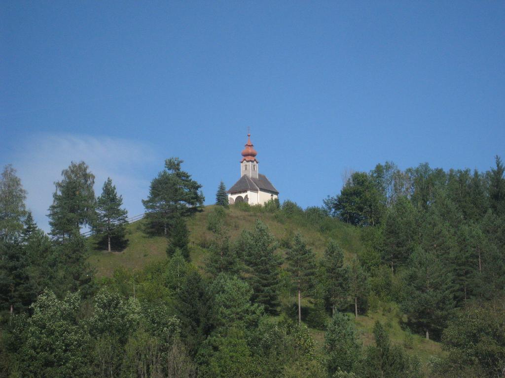 Gasthof Zum Niederhaus - Familie Perthold Sankt Aegyd am Neuwalde Экстерьер фото
