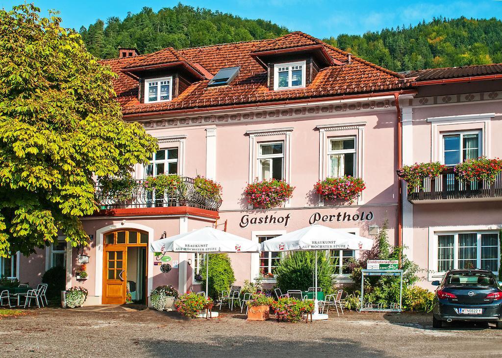 Gasthof Zum Niederhaus - Familie Perthold Sankt Aegyd am Neuwalde Экстерьер фото