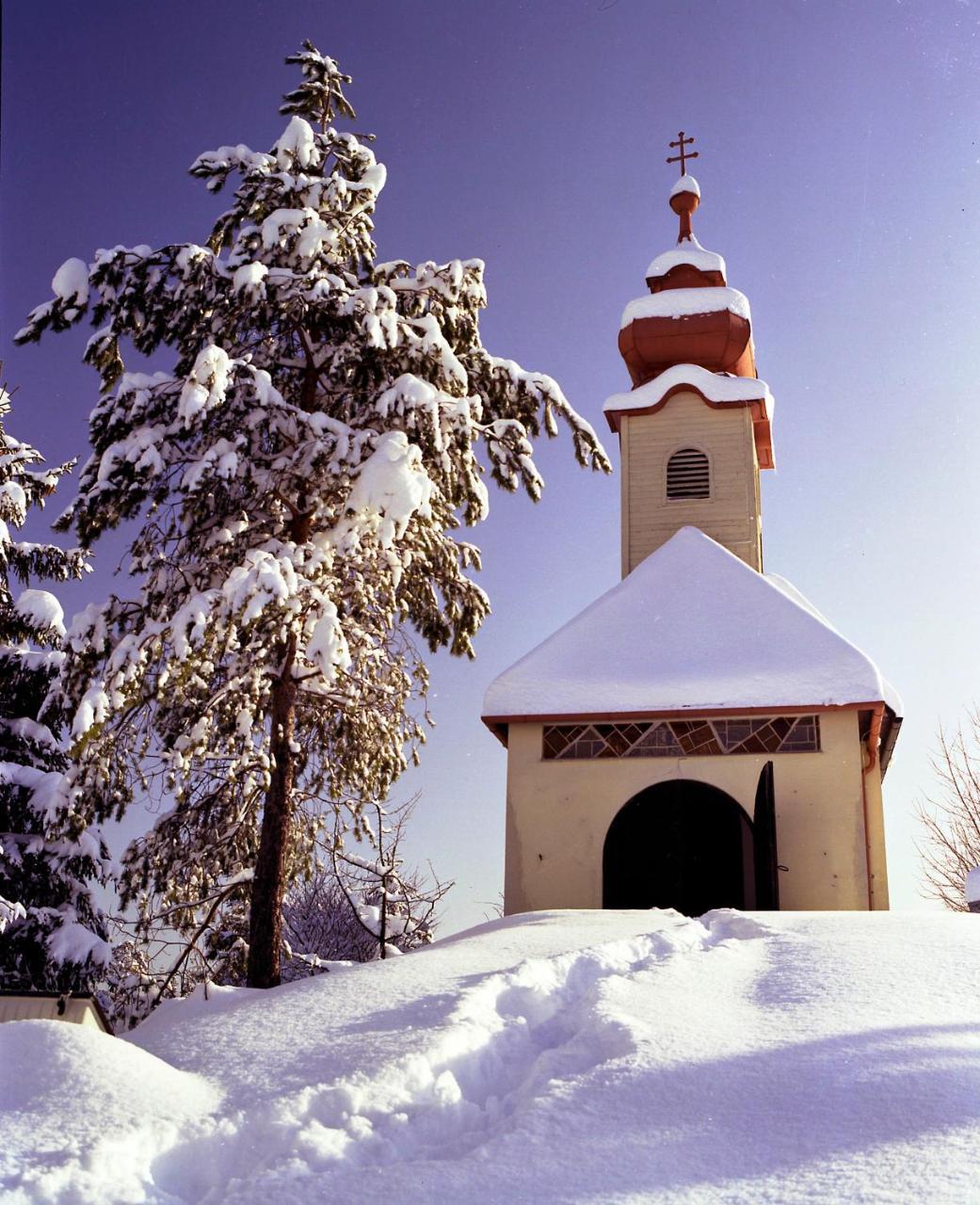 Gasthof Zum Niederhaus - Familie Perthold Sankt Aegyd am Neuwalde Экстерьер фото