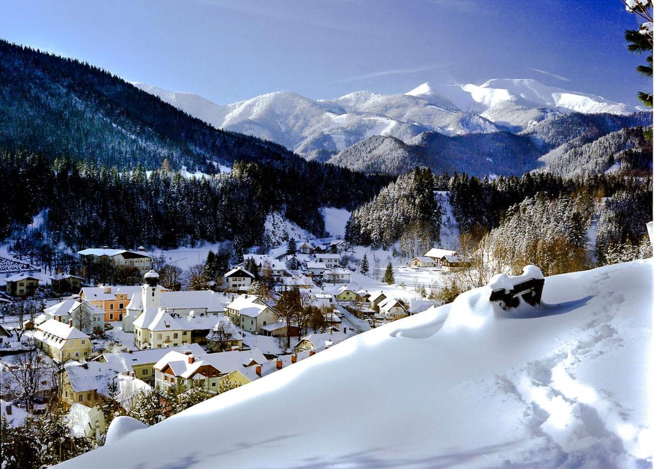 Gasthof Zum Niederhaus - Familie Perthold Sankt Aegyd am Neuwalde Экстерьер фото