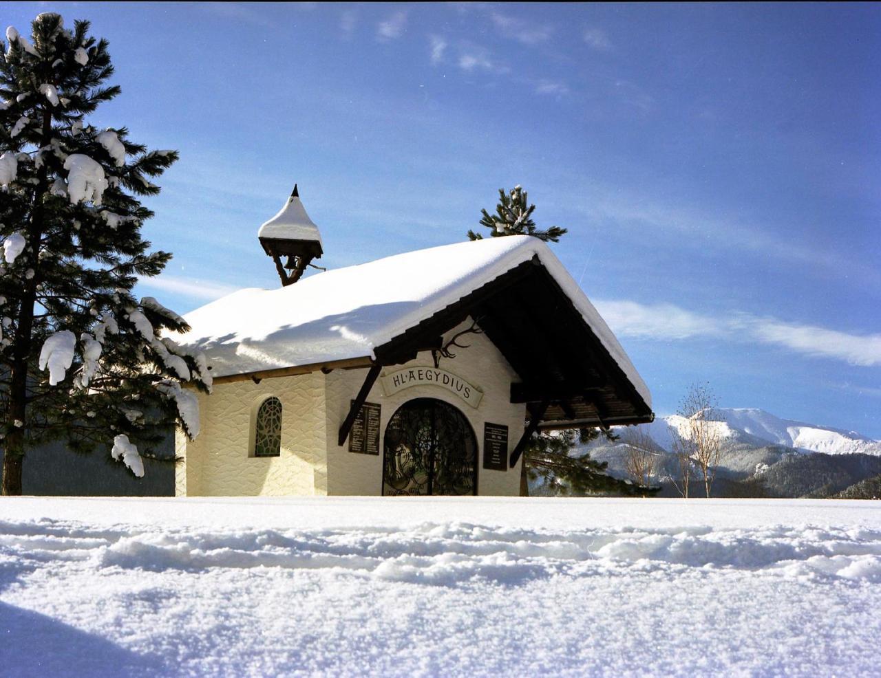 Gasthof Zum Niederhaus - Familie Perthold Sankt Aegyd am Neuwalde Экстерьер фото